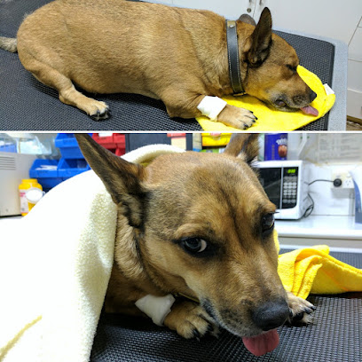 Animal Medical Centre