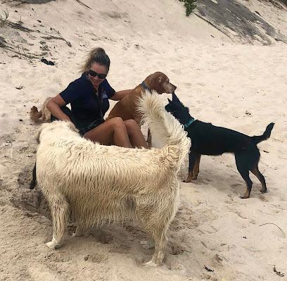 Dogventures