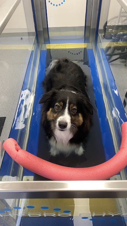 Greencross Vets Bedford