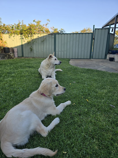 Razz n Jazz Kennels