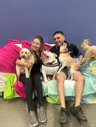 Furkids Funhouse Doggy Daycare and Grooming