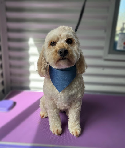 Murphy and Me Dog Grooming