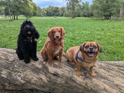Faithful Friends Pet Care
