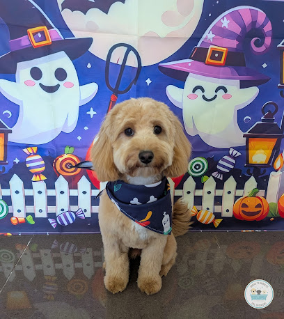 Barks ‘n Bubbles Dog Grooming