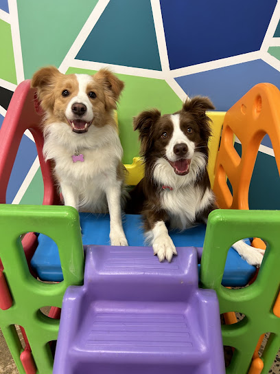 Wagtime Co.