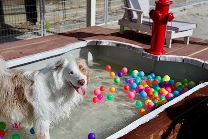 Yarrambat Kennels & Cattery