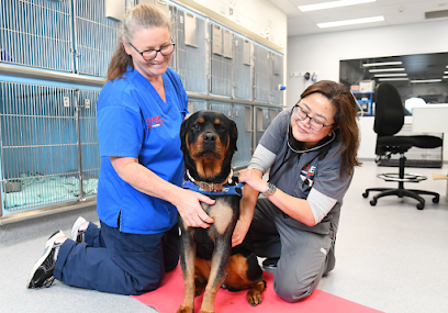 Animal Emergency Centre – 24/7 Emergency Vet – Frankston