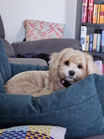Freshpaws Dog Grooming