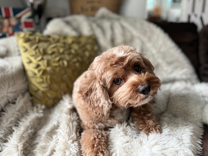 Pawsome Place