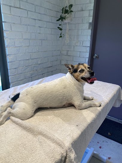 Canine Muscle Therapy