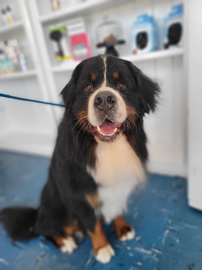 Fluff n Stuff Dog Styling