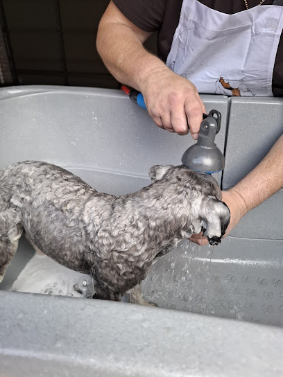 The Full Monty Dog Grooming