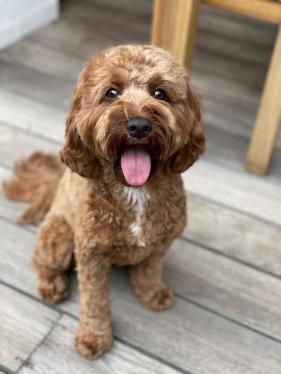 Bark & Co