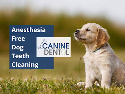 Canine Dental Hygiene Services Burwood