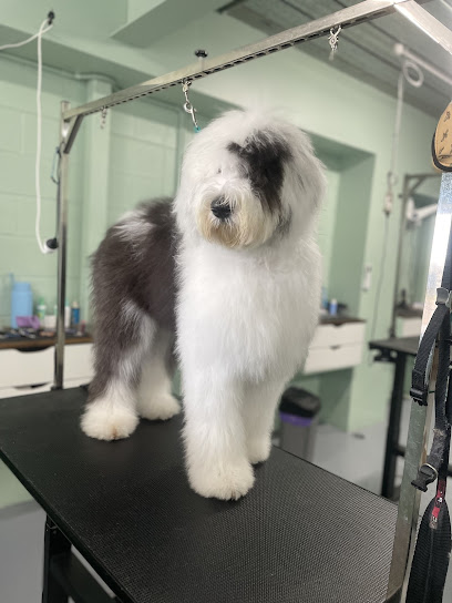 Grooming by Heidi