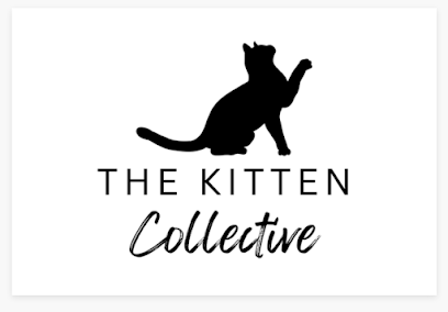 The Kitten Collective