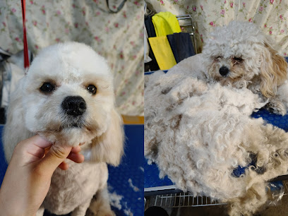 Love Paw Paw Pet Grooming (pls send SMS for booking)