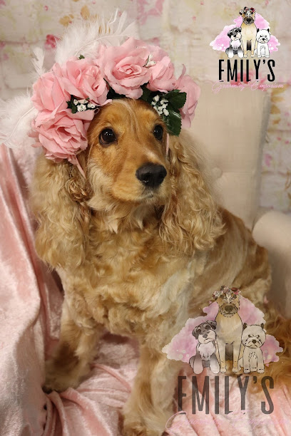 Emily’s Grooming Emporium