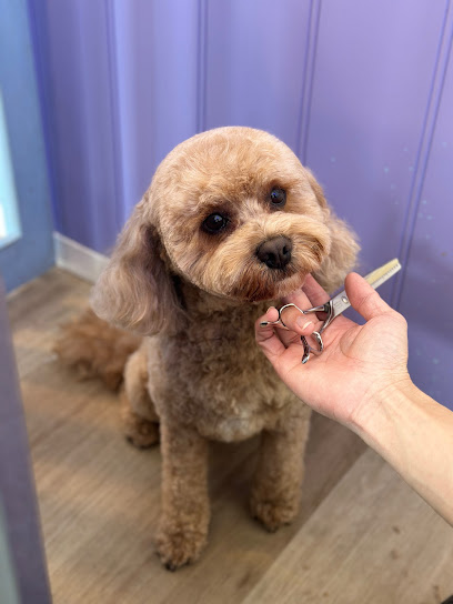Doggies Day Out Dog Grooming