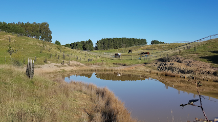 Deep Creek Grasslands