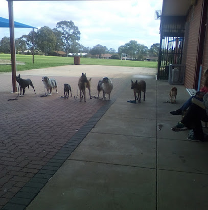 Dog Training Adelaide