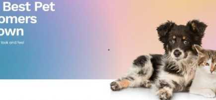 Furtastic Pets – Mobile Grooming Service