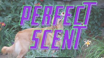 Perfect Scent Dog Grooming Devon Meadows