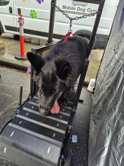 Leadership K9 Training
