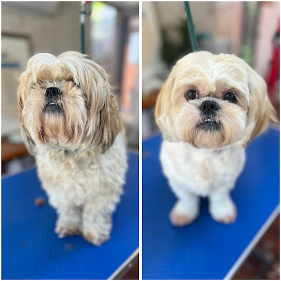 TOBY & Co.Pet Stylist