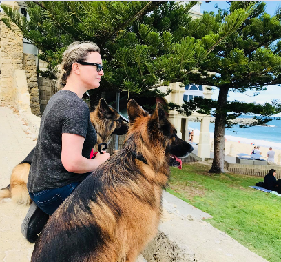 Dog Sense Training and Behaviour