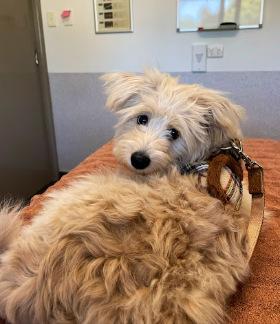 Greencross Vets Hurstbridge