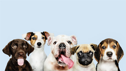 The Paws Club | Pet Care Services