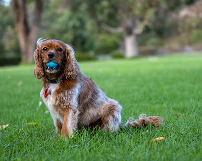 Padbury Vet Clinic