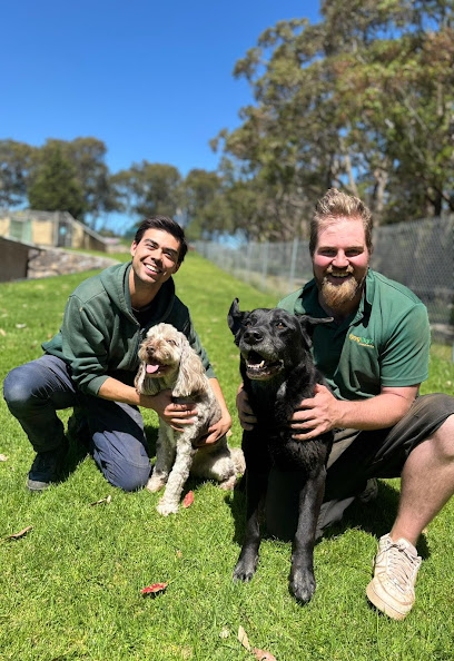 Dogdayz Dog Boarding – Lysterfield