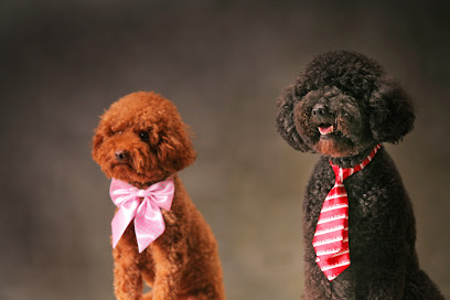 Perros Coquetos