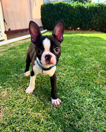 La Exotica Kennels