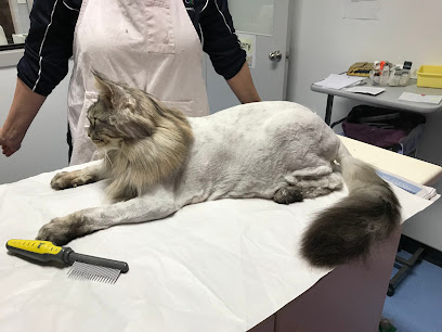 Just for Cats Vet Care & Grooming