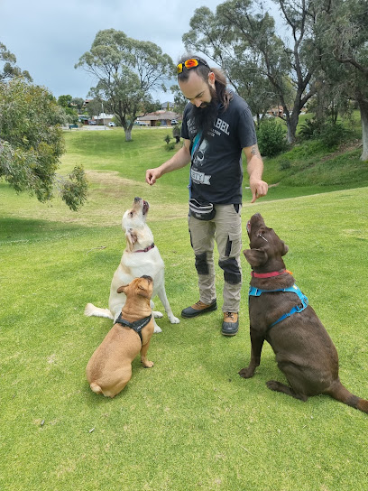 Woofer Adventures Dog Walking