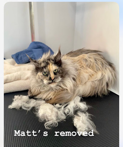 Molly and Friends Pet Grooming