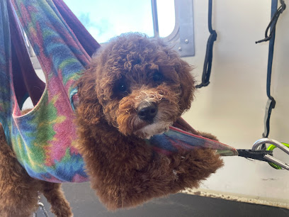 Mat’s Mobile Dog Grooming