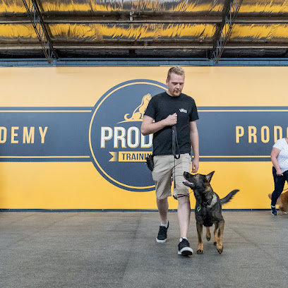 Pro Dog Training: West Footscray