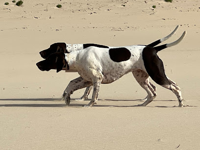 Baldivis Vet Surgery