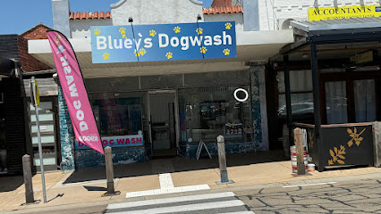 Bluey’s DIY Dogwash