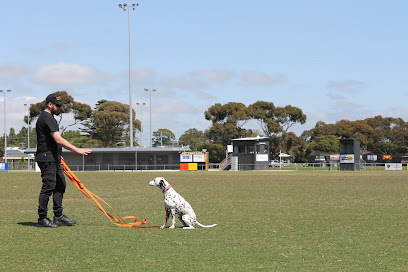 Crazydog Solutions