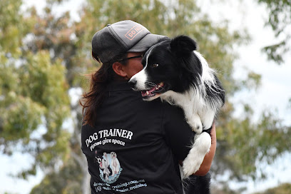Divine Canine Training