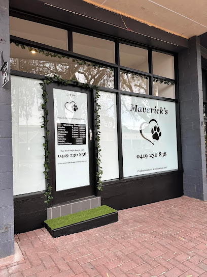 Mavericks Dog Grooming