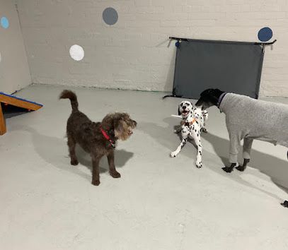 Happy Paws Waggy Tails