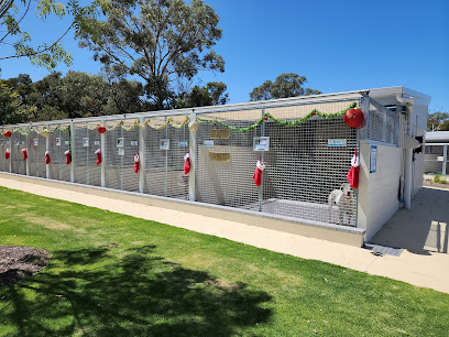 Dogs Refuge Home