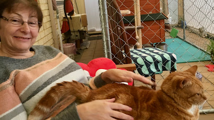 Anne’s Cattery Cottages