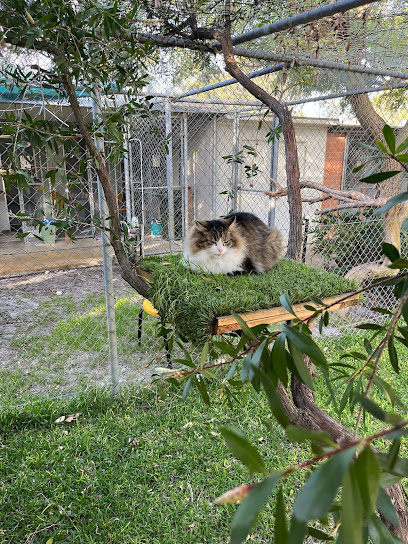 Top Cats Country Club